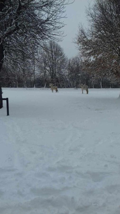 Casas Rurales San Justo Zewnętrze zdjęcie